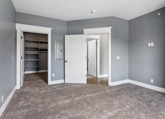 Gray-walled apartment bedroom pairs plush carpeting with crisp white trim and an open walk-in closet featuring built-in shelving.