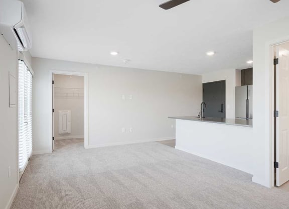 The main room with a large walk-in closet