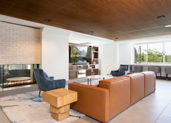 Entertainment suite television lounge with fireplace and ample couch seating.