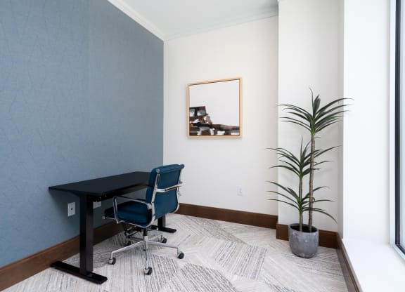 Work from home space with desk and chair and plant near the light from the window.