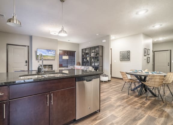 Interiors-1 bedroom apartment kitchen in traditional design scheme with dark cabinetry and stainless steel appliances