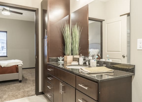 Interiors-Master bath in traditional design scheme with dark cabinetry and granite countertops