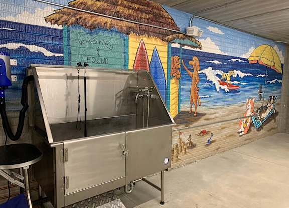 a stainless steel dog wash in front of a beach mural