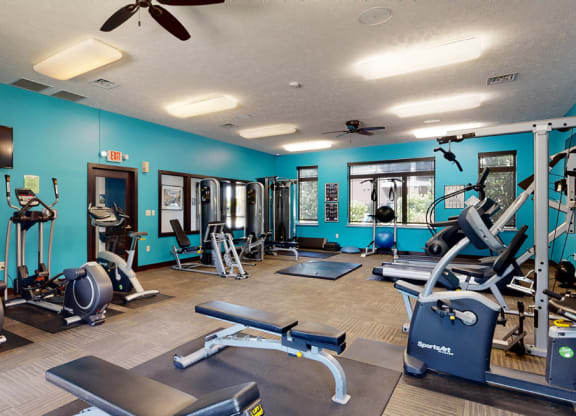 a gym with cardio equipment, work out machines, and a flat screen tv