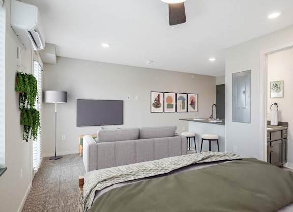 Studio living/bedroom with a bed, a couch, a television, and a potted plant