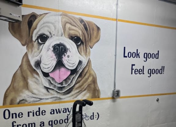 A mural of a bulldog on the wall next to the bike repair station at WH Flats in Lincoln, NE