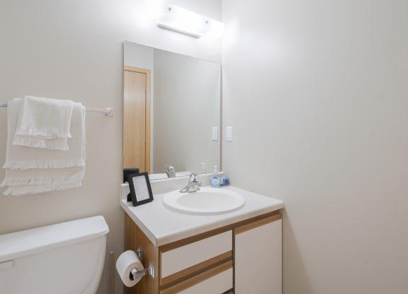 a bathroom with a toilet, sink, and a mirror