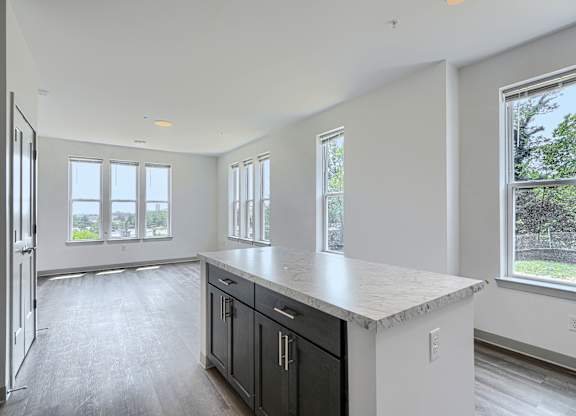 A kitchen with black cabinets and a marble countertop.