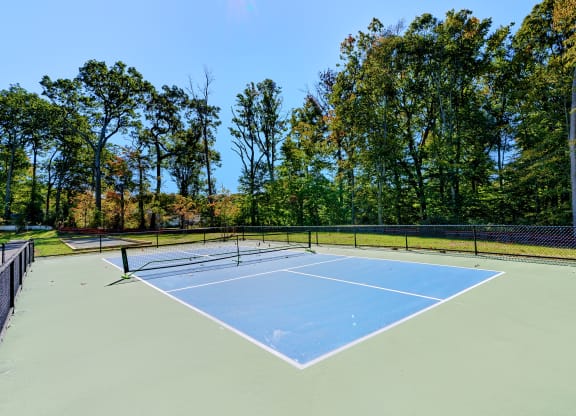 a tennis court with a fence around it and trees in the background