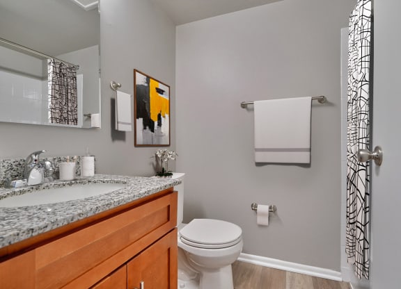 a bathroom with a toilet and a sink and a mirror