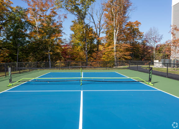 enjoy a game of tennis on the tennis court