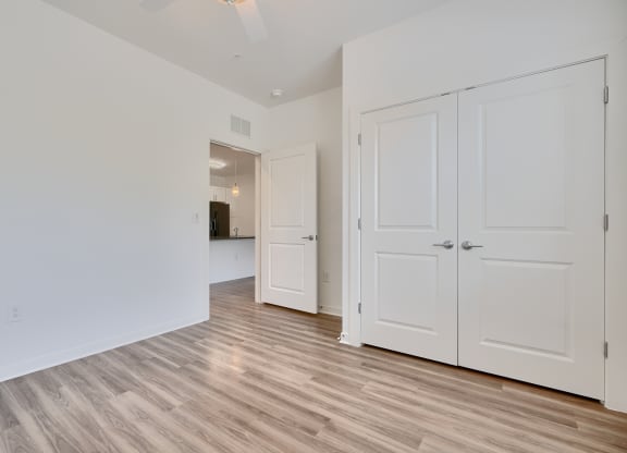 a bedroom with two closets and a door to a hallway