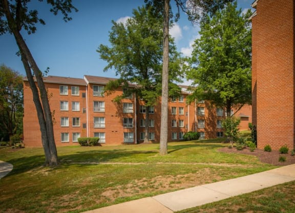 our apartments offer a spacious courtyard with trees and grass
