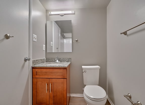 bathroom with a sink toilet and mirror