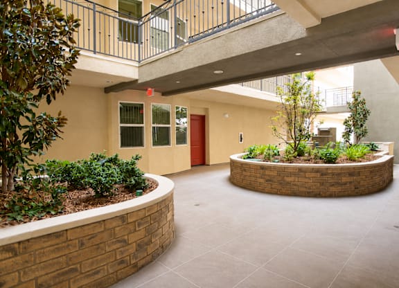 A courtyard with a circular planter in the middle.
