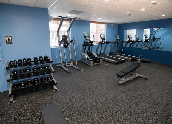 A gym with a row of treadmills, a bench, and a rack of dumbbells.