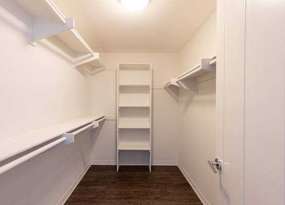 A white pantry with a shelf and a door.