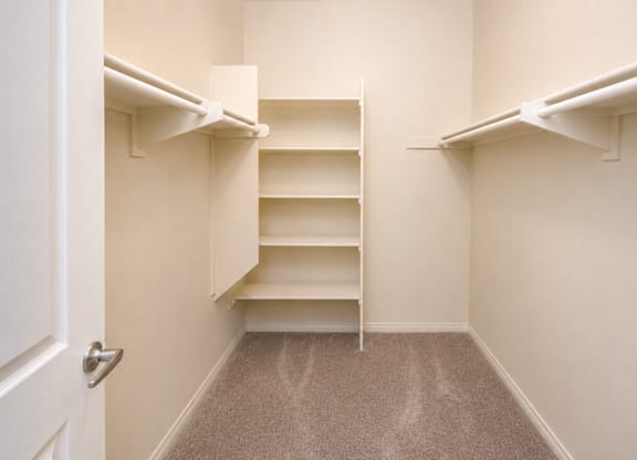 A white closet with shelves and a carpeted floor.