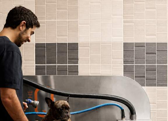 A man is grooming a dog in a grooming station.