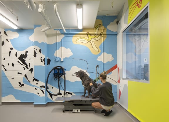 Pet Spa at The Q Topanga, Woodland Hills, 91367