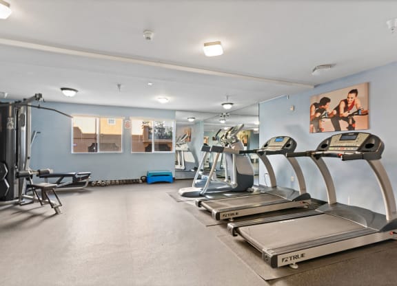 two treadmills and other exercise equipment in a gym with blue walls at Dronfield Astoria Sylmar, 91342