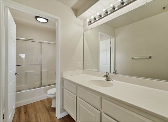 a bathroom with a large mirror and a sink and a toilet