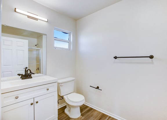 a bathroom with a toilet and a sink and a mirror