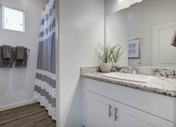 Upgraded Bathrooms with Granite Counters at Pillar Lago