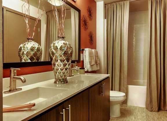 bathroom at Elevation on Central Apartments, Arizona