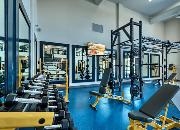 a gym with cardio equipment and weights on a blue floor at Cuvee, Glendale, AZ