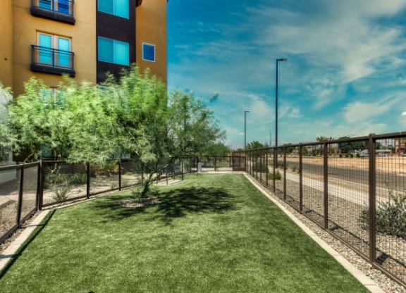 Dog Park at Elevation San Tan, Gilbert, 85295