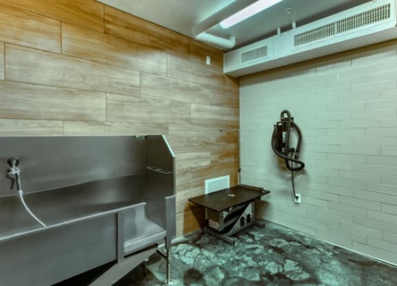 Dog Wash at Elevation San Tan, Gilbert, 85295