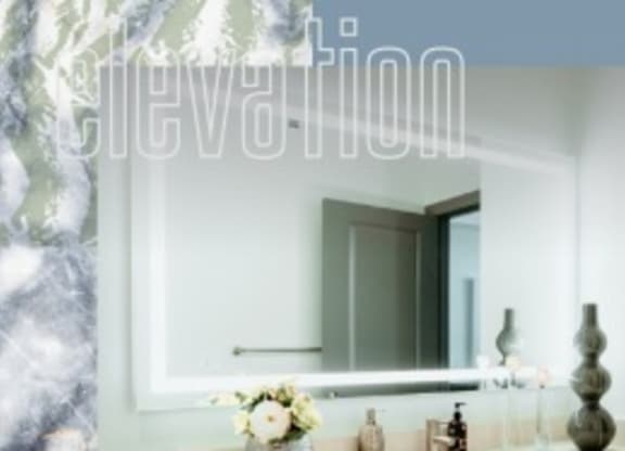 Vanity at Elevation San Tan, Arizona