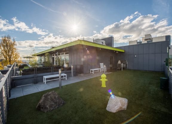 Reverb roof top dog park with a yellow fire hydrant
