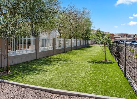 A green lawn with a fence and trees in the background.