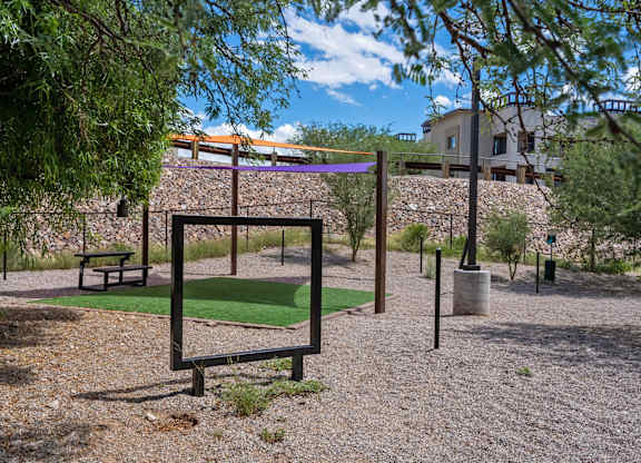 Dog Park, Park, Pets, Dogs