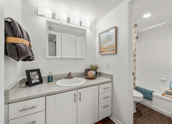 A bathroom with a white sink and a mirror above it.