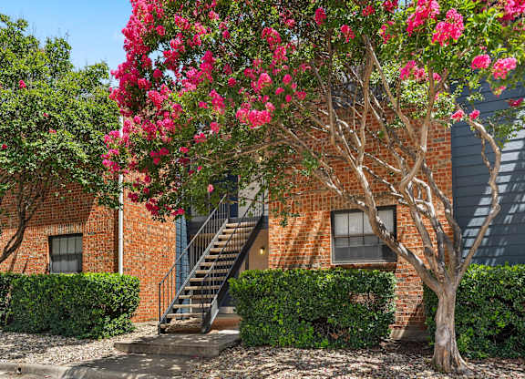 A tree with pink flowers is in front of a brick building.