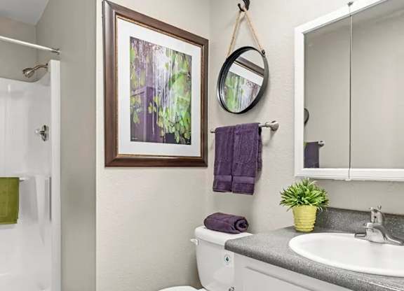 A bathroom with a toilet, sink, and a mirror.