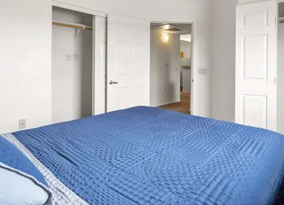 A bedroom with a blue bedspread and a ceiling fan.