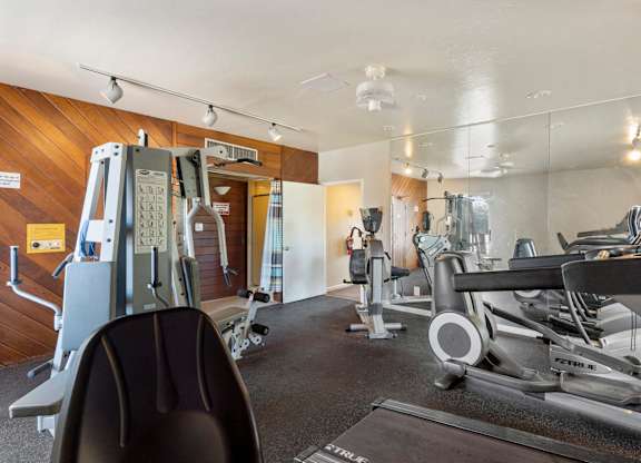 Fitness, Treadmill, Equipment, Exercise, Gym