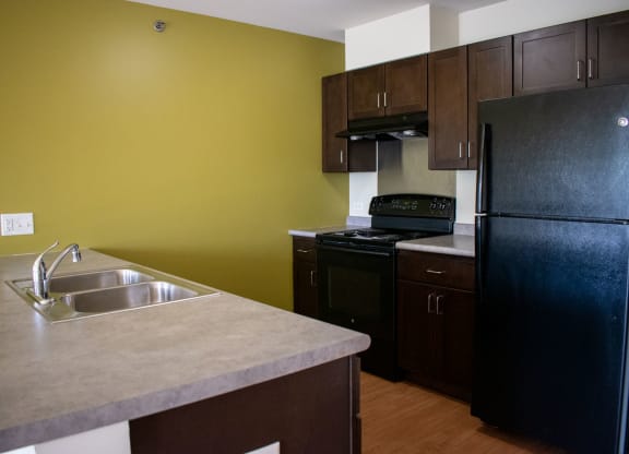 a kitchen with green walls and black appliances