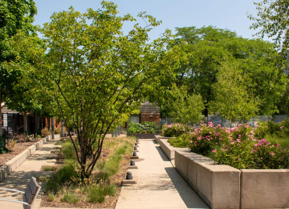 a garden with benches and trees on a sunny day