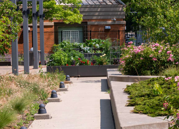 a view of a garden with a building in the background