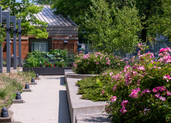 a garden with flowers and a building in the background