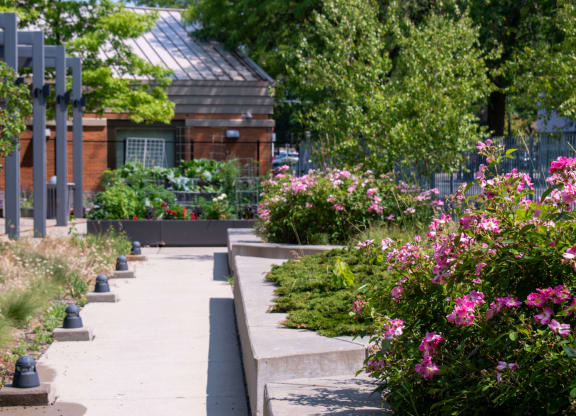 a garden with flowers and a building in the background