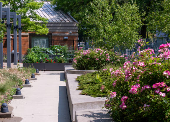 a garden with flowers and a building in the background