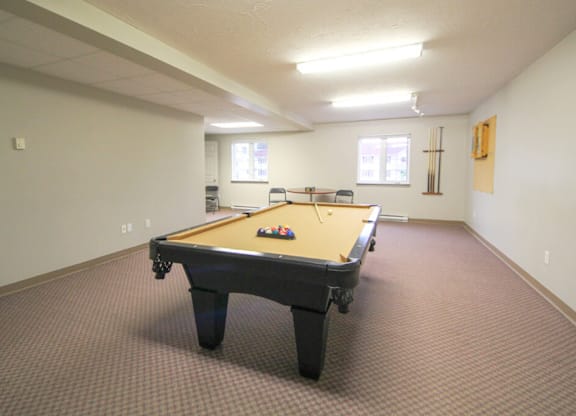 A pool table in a room with a brown carpet.