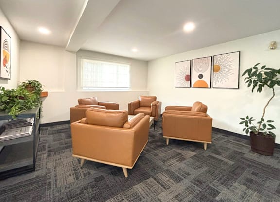 A room with grey carpet and brown chairs.