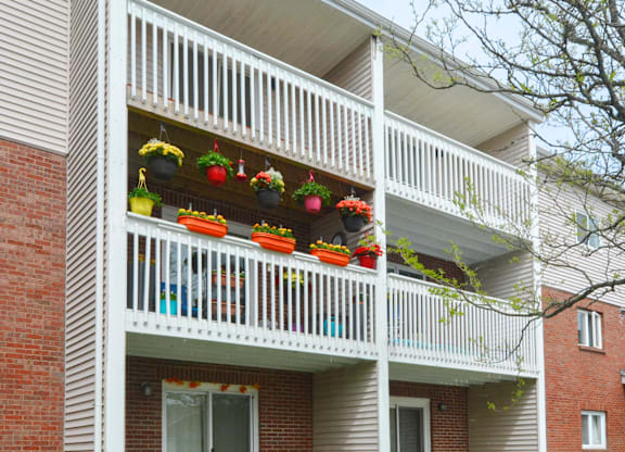 A balcony with white railings and several potted plants.